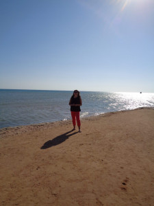 hartes Autoren-Leben hartes Autoren-Leben