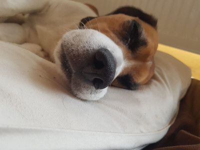 total KO nach der Recherche... total KO nach der Recherche...