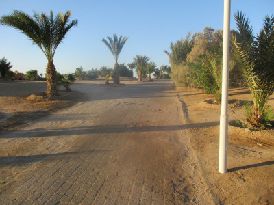 Impressionen Ägypten Impressionen Ägypten