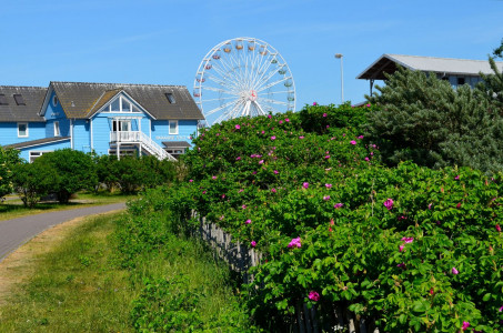 Impressionen Sylt-2 Impressionen Sylt-2